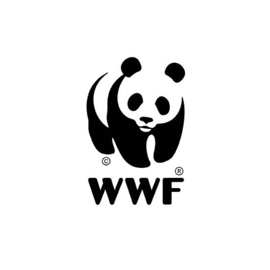 WWF logo